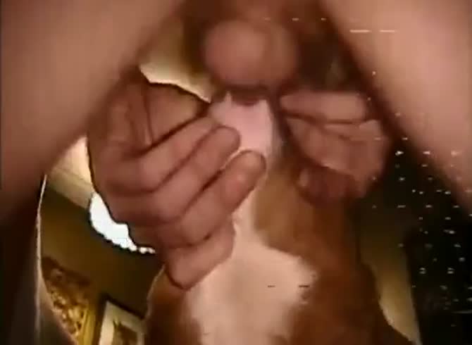 Deepthroat porn dog dog fucks